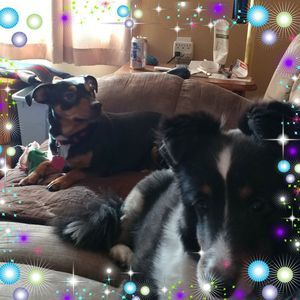 Meet your Posher, Sheri